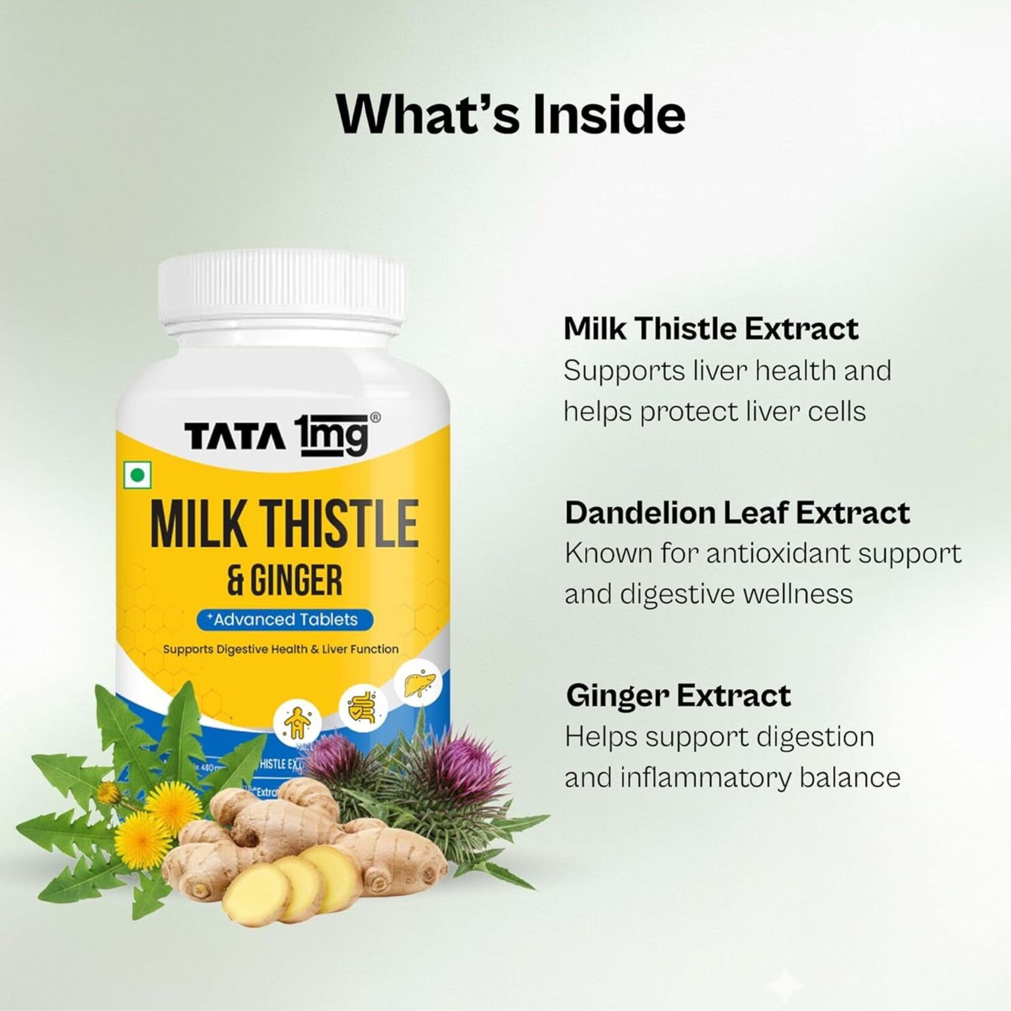 TATA 1mg Milk Thistle Capsules – Silybum marianum