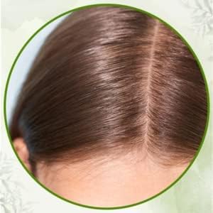 Amina Natural Henna Powder 1kg – Lawsonia Inermis