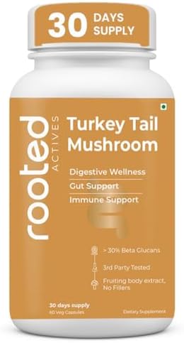 Rooted Actives Turkey Tail Mushroom 500mg Capsules 60 – Trametes versicolor