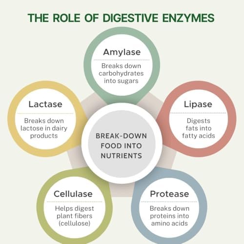 Pure Nutrition Digestive Enzymes with Bromelain Tablets – Ayurvedic Herb