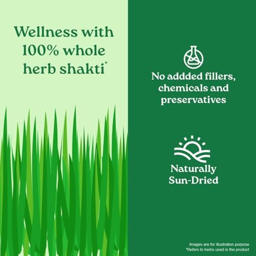 Organic India Wheat Grass Powder – Triticum aestivum