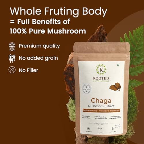 Rooted Actives Siberian Chaga Mushroom Capsules – Inonotus obliquus