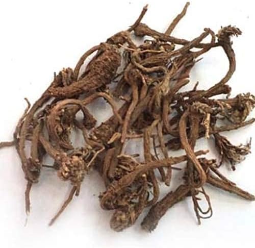 Neeraj Akarkara Root Powder 100g – Anacyclus pyrethrum