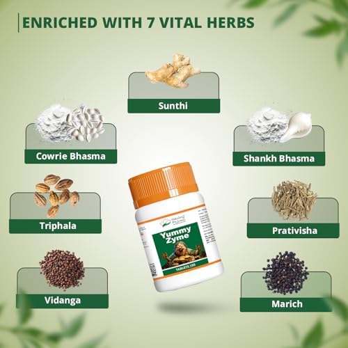 Healing Pharma Digestive Enzyme Tablets 100 – Ayurvedic Herb