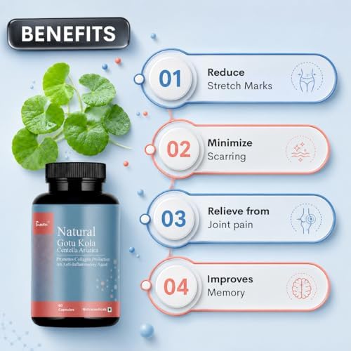 Gotu Kola Extract Capsules 60 – Centella asiatica