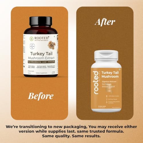 Rooted Actives Turkey Tail Mushroom 500mg Capsules 60 – Trametes versicolor