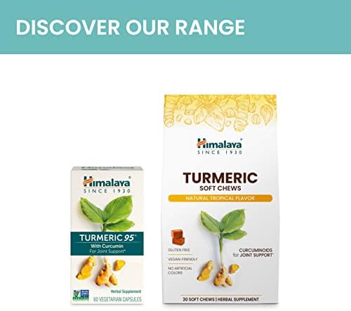 Himalaya Organic Turmeric Curcumin Capsules 60 – Curcuma longa