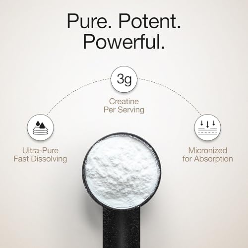 Wellbeing Nutrition Micronised Creatine Monohydrate Powder – Amino Acid