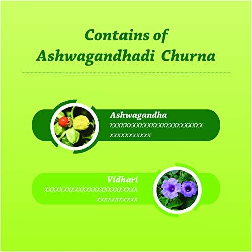 Baidyanath Ashwagandhadi Churna Powder 100g – Withania somnifera
