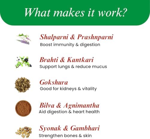 Dashmool Kwath Churna Powder 100g – Ayurvedic Herb