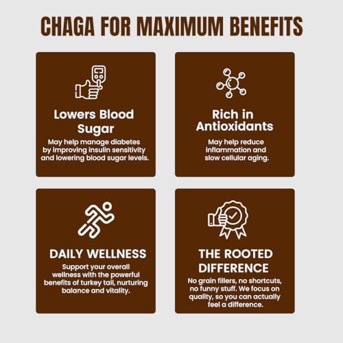Rooted Actives Siberian Chaga Mushroom Capsules – Inonotus obliquus