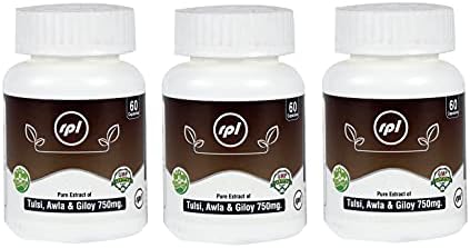 KantiGlow Selection Tulsi Amla Giloy Ayurvedic Immunity Wellness Capsules 60 – Ayurvedic Herb