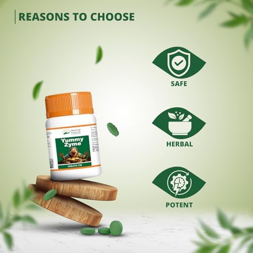 Healing Pharma Digestive Enzyme Tablets 100 – Ayurvedic Herb