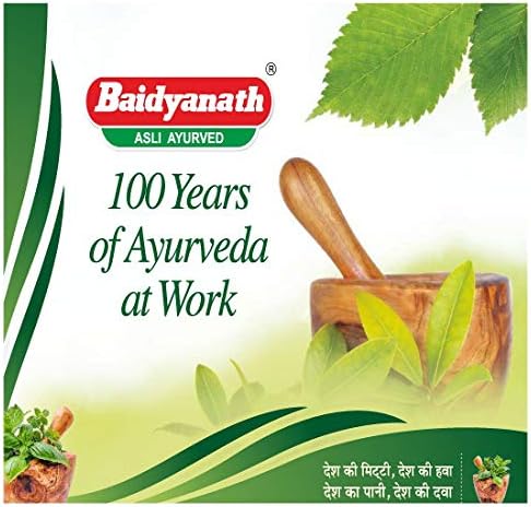 Baidyanath Ajmodadi Churna Powder 100g – Ayurvedic Herb