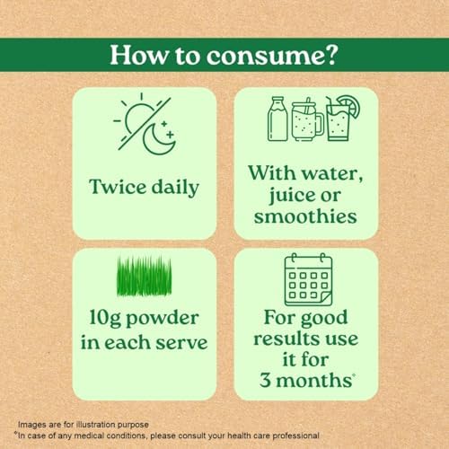 Organic India Wheat Grass Powder – Triticum aestivum