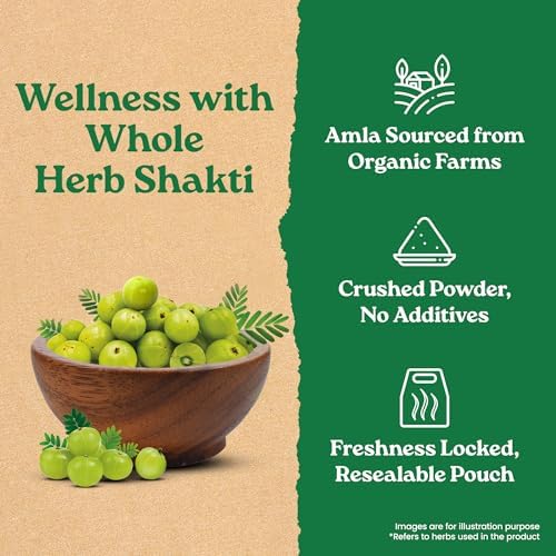 Organic India Amla Powder 200g – Emblica officinalis