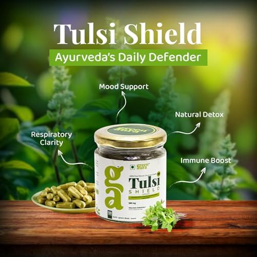 Green Aura Tulsi Shield 500mg Capsules 60 – Ocimum sanctum