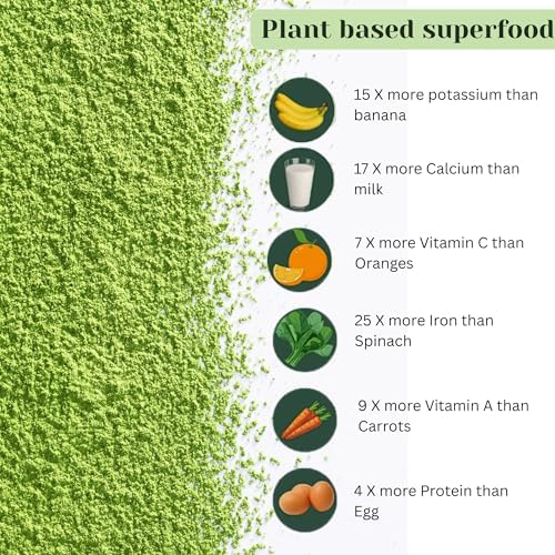 Gunaveda Moringa Powder 100% Pure Powder 200g – Moringa oleifera