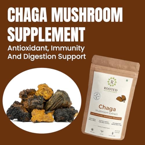 Rooted Actives Siberian Chaga Mushroom Capsules – Inonotus obliquus