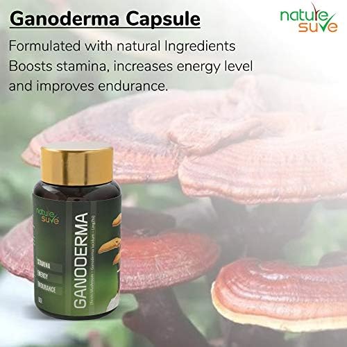 Nature Sure Ganoderma 500mg Capsules 60 – Ganoderma lucidum