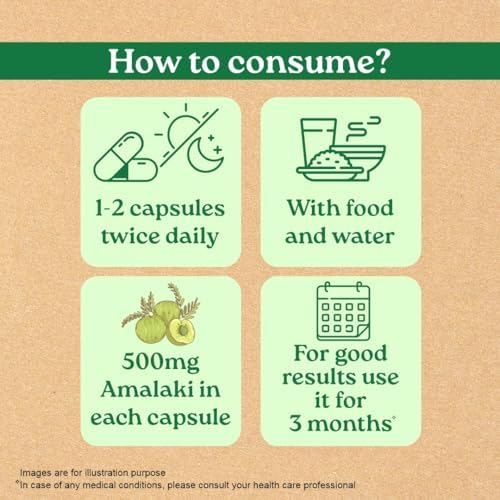 Organic India Amalaki Capsules 60 – Emblica officinalis