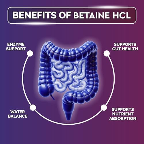 Biotrex Betaine HCL with Pepsin 650mg Capsules 60 – Ayurvedic Herb
