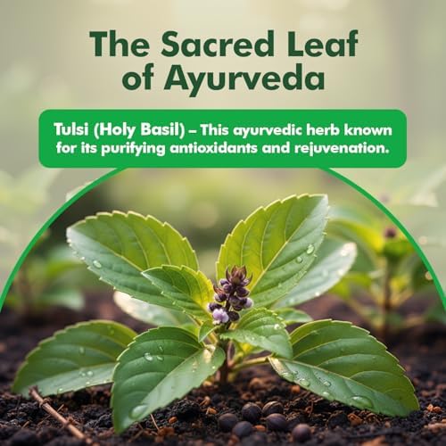 Baidyanath Tulsi Tablets 60 – Ocimum sanctum