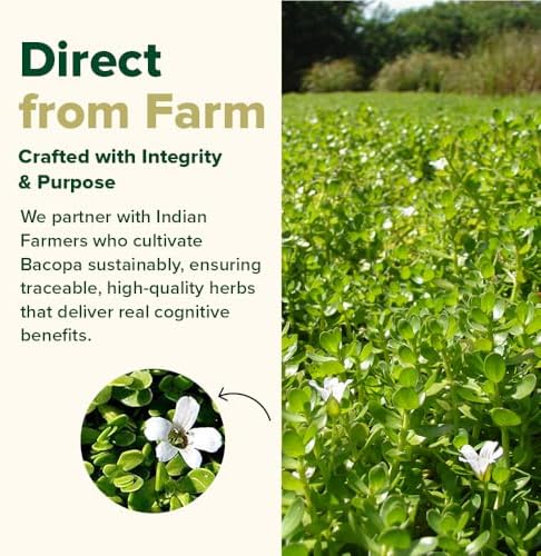 VAHDAM Brahmi 1000mg Capsules – Bacopa monnieri
