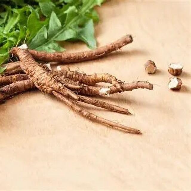 Purnaveda Dandelion Root Powder 100g – Taraxacum officinale