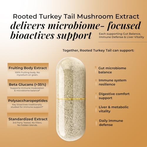 Rooted Actives Turkey Tail Mushroom 500mg Capsules 60 – Trametes versicolor