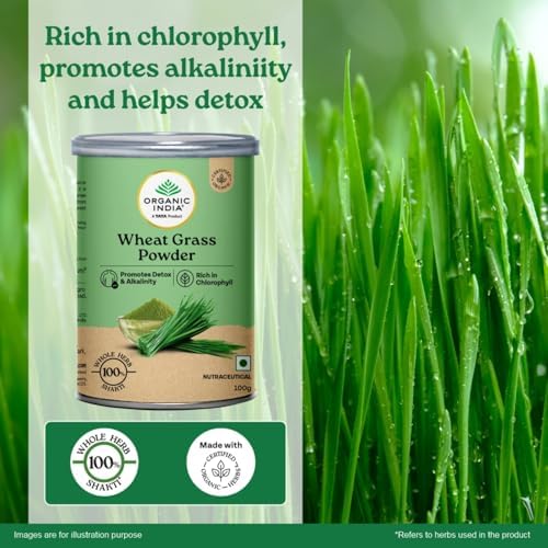 Organic India Wheatgrass Powder 100g – Triticum aestivum