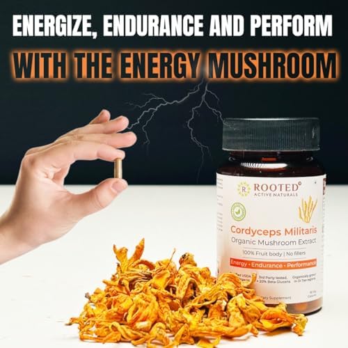 Rooted Lion's Mane Gummies + Cordyceps Capsules Combo Capsules – Hericium erinaceus