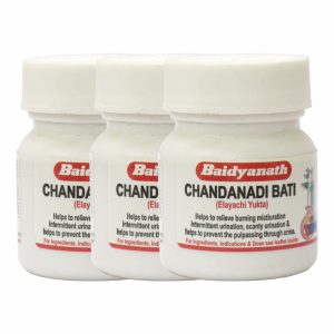 Baidyanath Chandanadi Bati Tablets 40 – Ayurvedic Herb