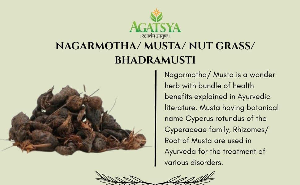 Agatsya Nagarmotha Churna Powder 100g – Cyperus rotundus