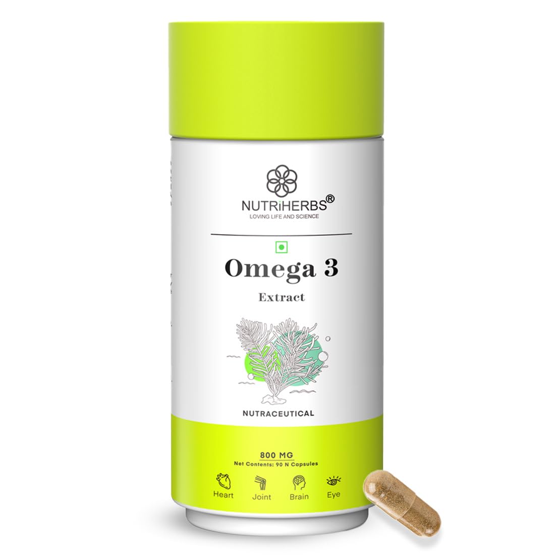 Nutriherbs Omega-3 Plant-Based DHA & EPA 800mg Capsules – Ayurvedic Herb