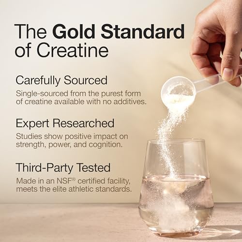 Wellbeing Nutrition Micronised Creatine Monohydrate Powder – Amino Acid