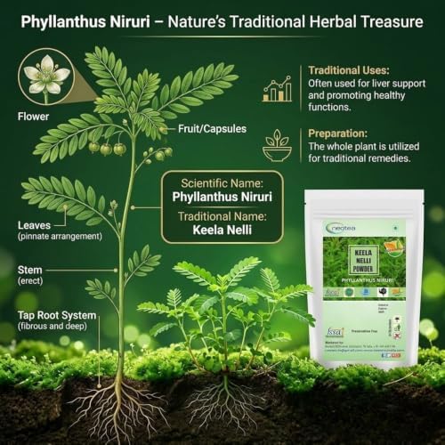 Neotea Bhumi Amla Powder – Phyllanthus niruri