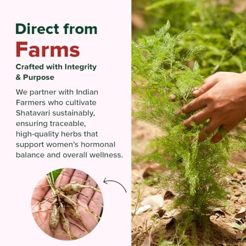VAHDAM Shatavari Capsules – Asparagus racemosus
