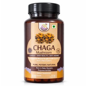 Khumbeess Siberian Chaga Mushroom 650mg Capsules 90 – Inonotus obliquus