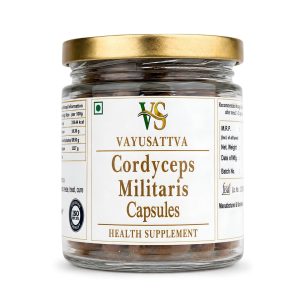 Cordyceps Militaris Capsules 60 – Cordyceps militaris