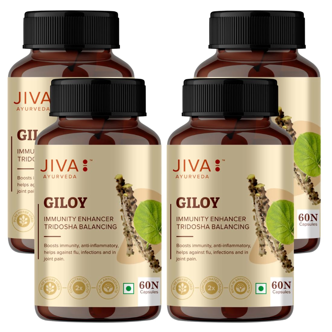 Jiva Giloy Capsules 60 – Tinospora cordifolia