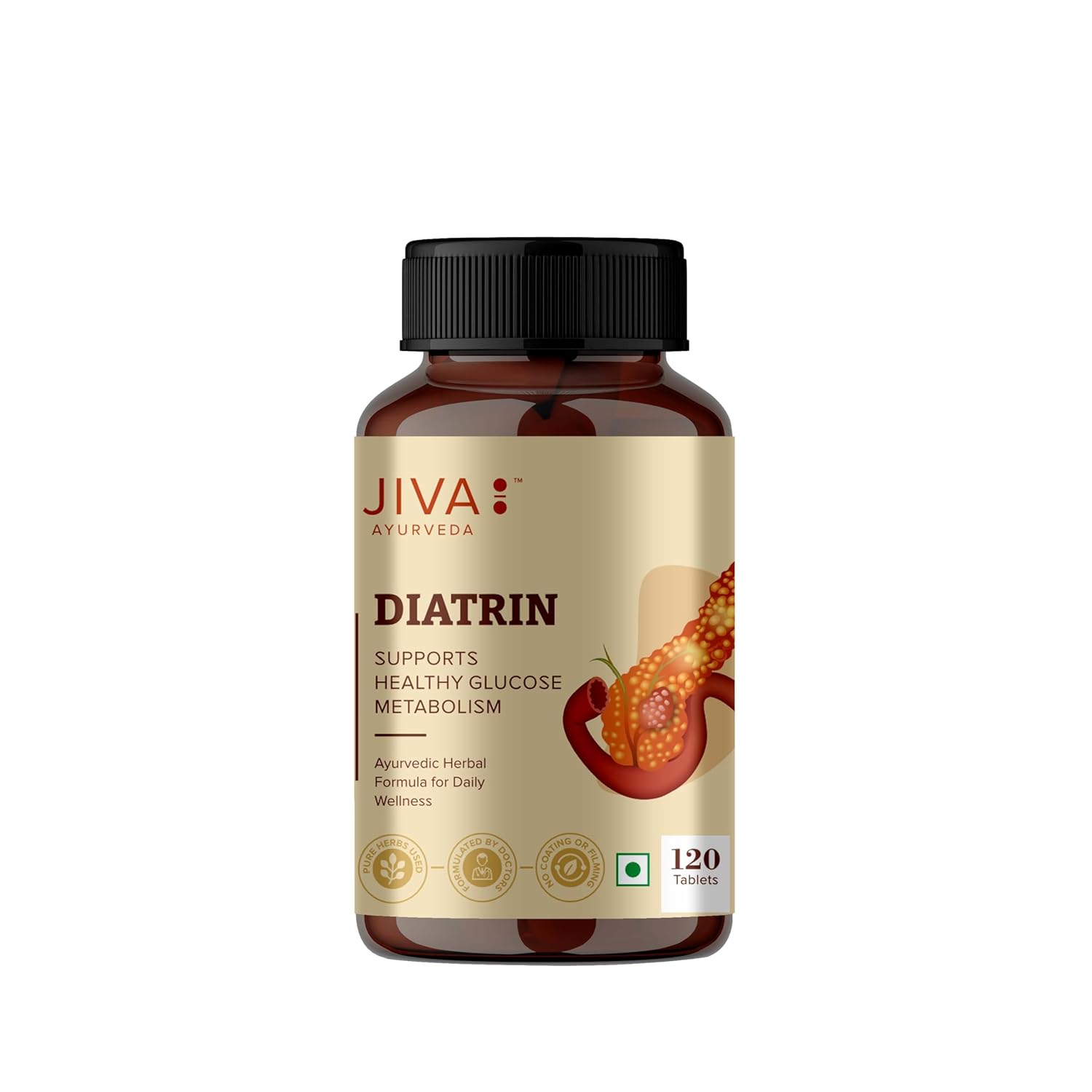 Jiva Diatrin Tablets 120 – Ayurvedic Herb