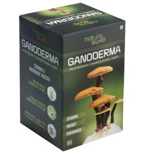 Nature Sure Ganoderma 500mg Capsules 60 – Ganoderma lucidum