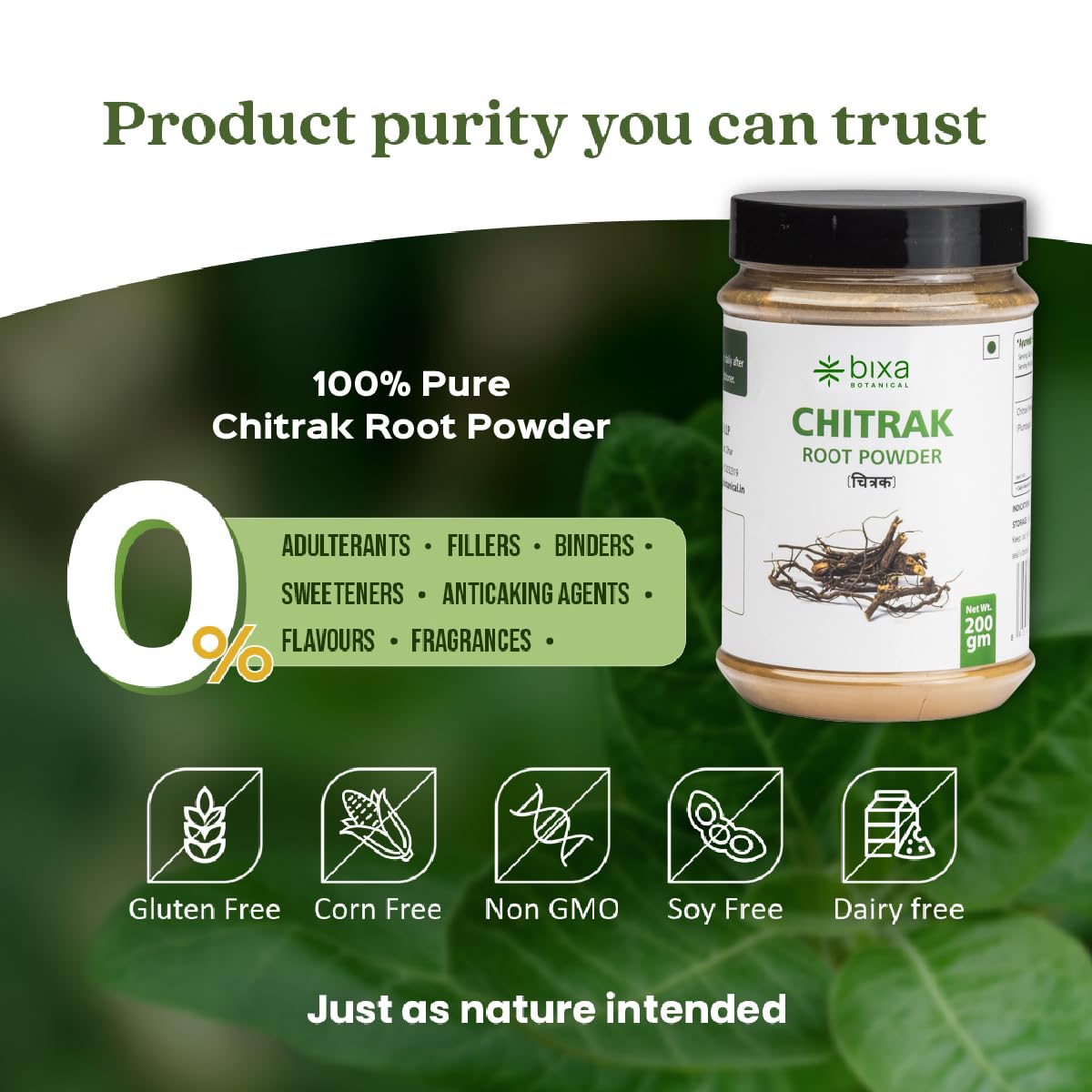Chitrak Root Powder 200g – Plumbago zeylanica