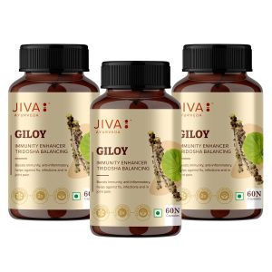 Jiva Giloy Capsules 60 – Tinospora cordifolia