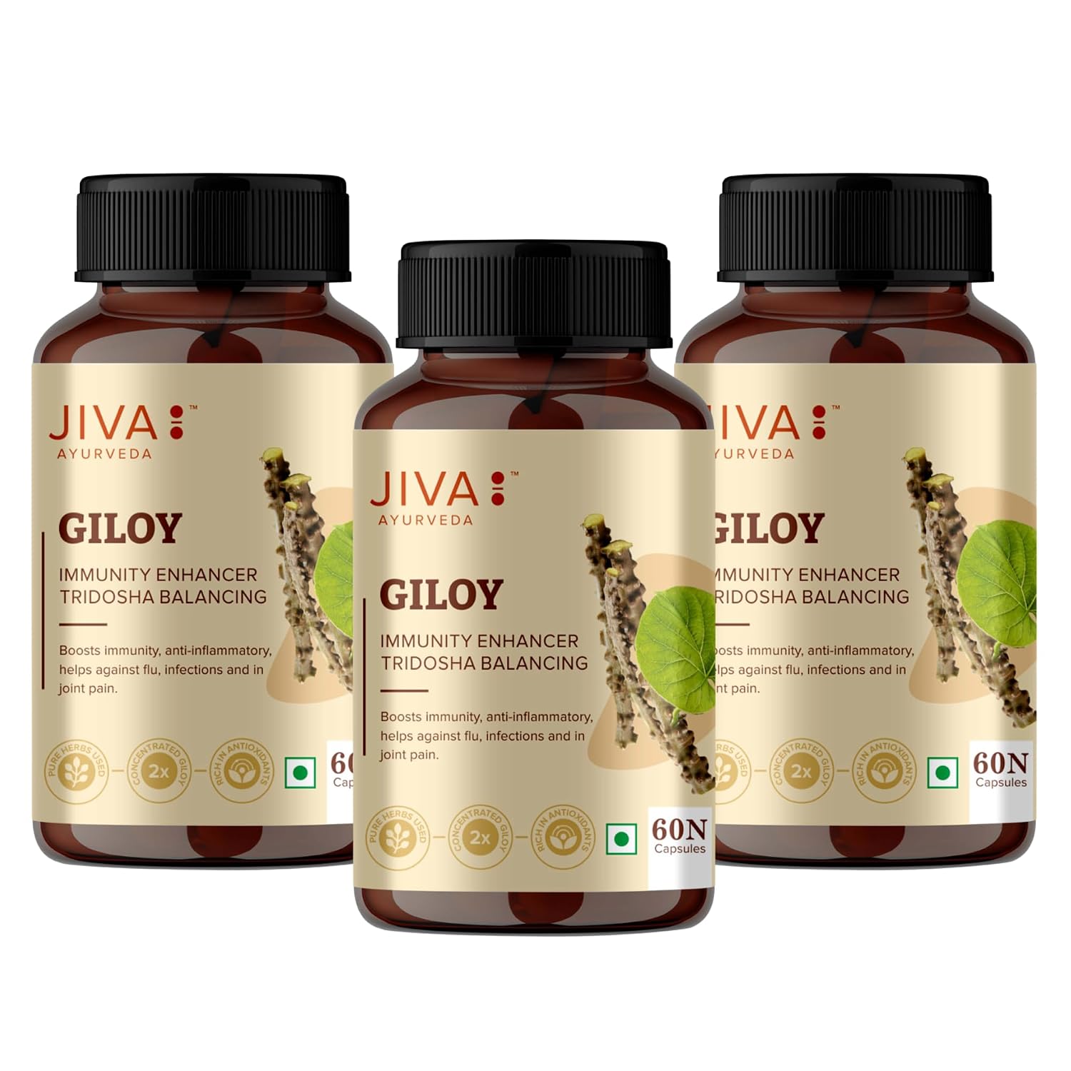 Jiva Giloy Capsules 60 – Tinospora cordifolia