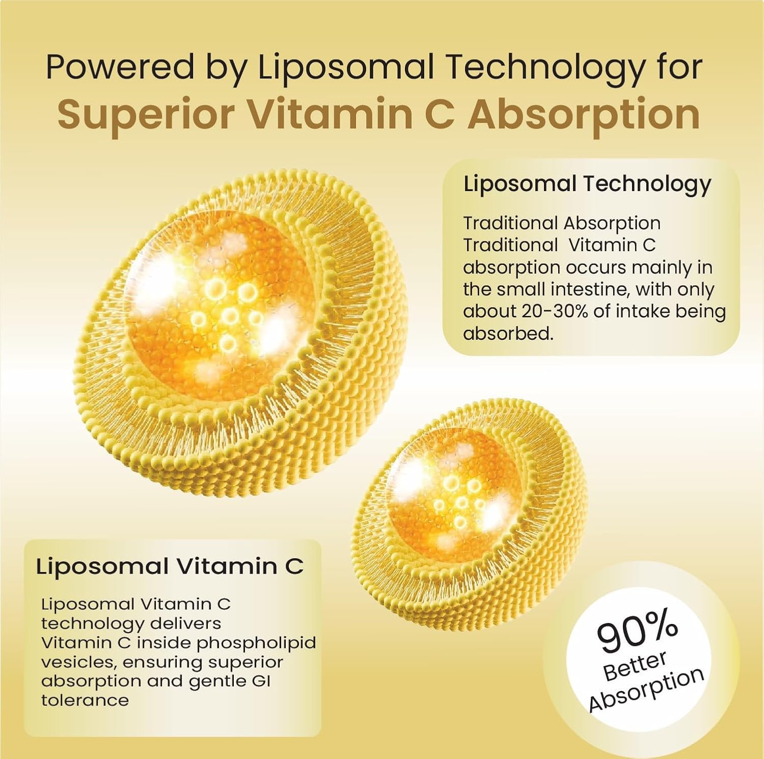 Himalayan Organics Liposomal Vitamin C Capsules – Vitamin Supplement