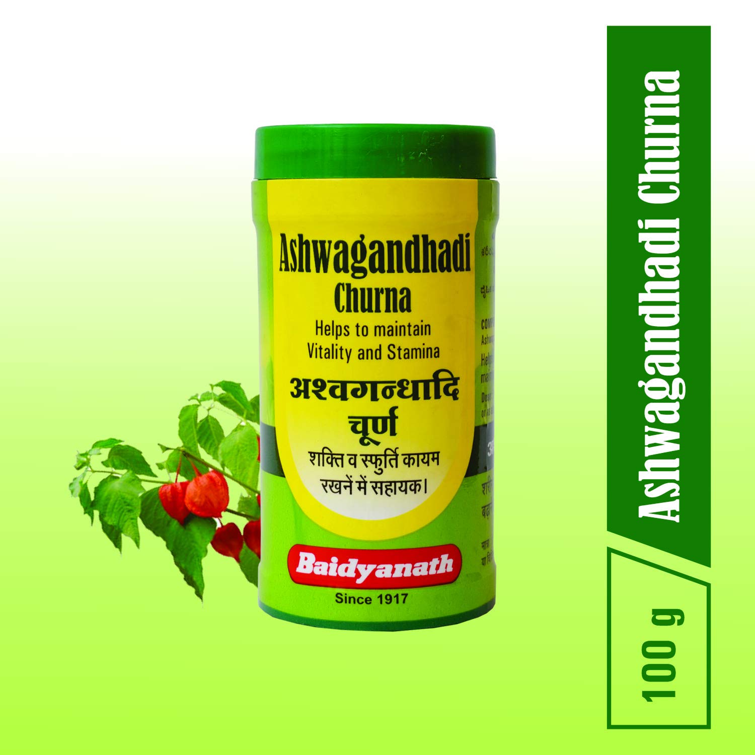 Baidyanath Ashwagandhadi Churna Powder 100g – Withania somnifera