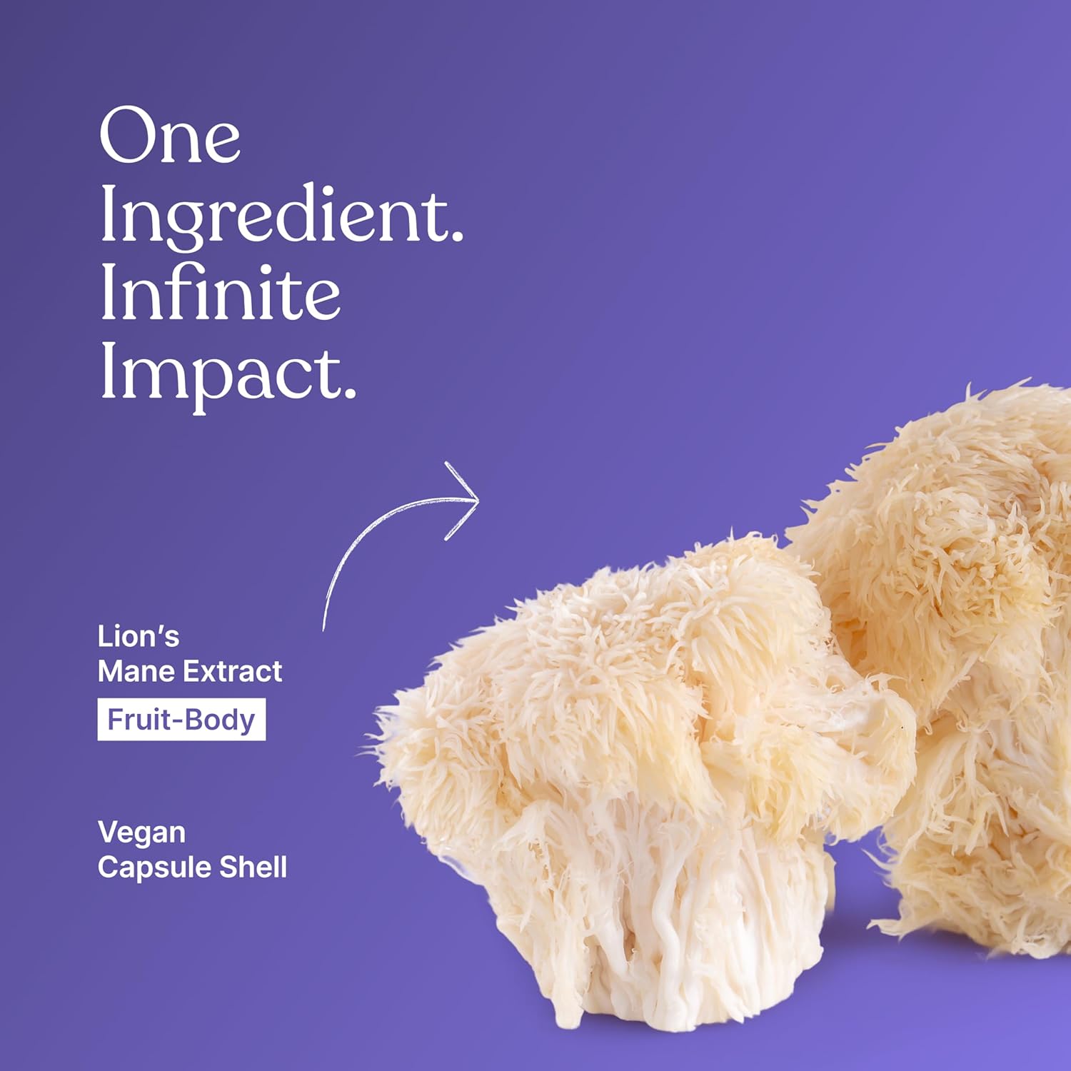 Lion’s Mane Mushroom Extract 10:1 Capsules 60 – Hericium erinaceus