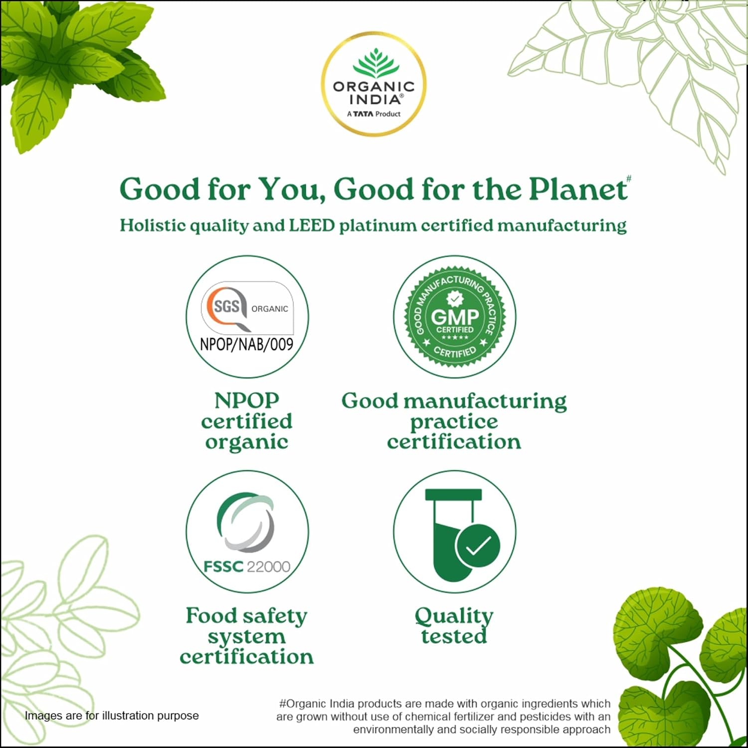 Organic India Moringa Powder 100g – Moringa oleifera